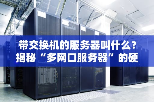 带交换机的服务器叫什么？揭秘“多网口服务器”的硬核真相！