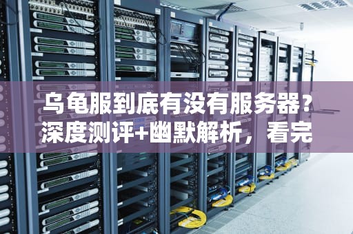 乌龟服到底有没有服务器？深度测评+幽默解析，看完笑出腹肌！