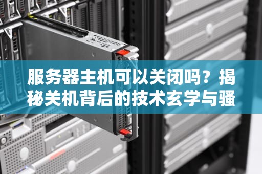 服务器主机可以关闭吗？揭秘关机背后的技术玄学与骚操作！