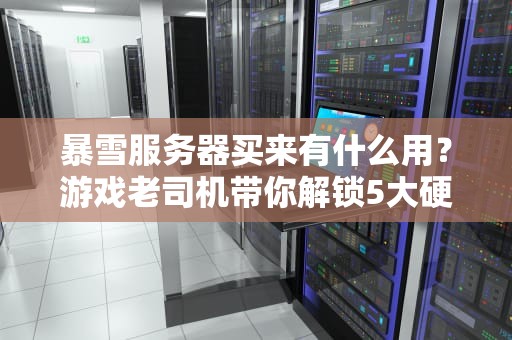 暴雪服务器买来有什么用？游戏老司机带你解锁5大硬核玩法！