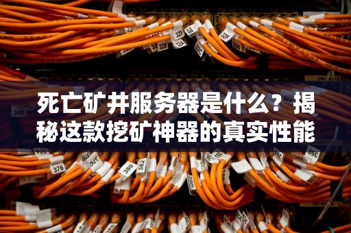 死亡矿井服务器是什么？揭秘这款挖矿神器的真实性能！