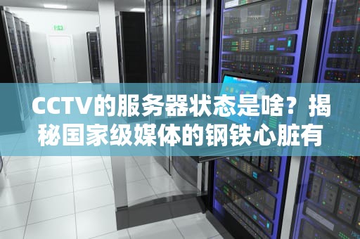 CCTV的服务器状态是啥？揭秘国家级媒体的钢铁心脏有多硬核！