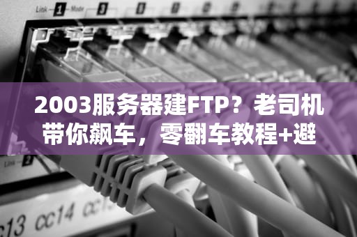 2003服务器建FTP？老司机带你飙车，零翻车教程+避坑指南！