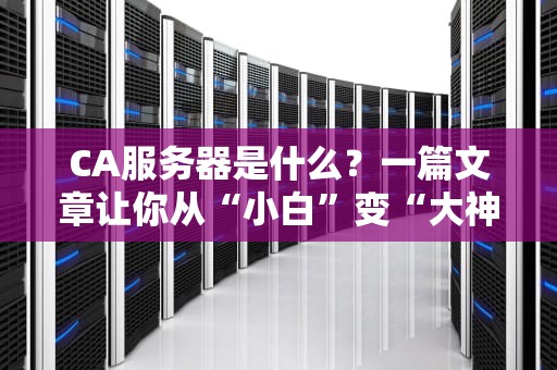 CA服务器是什么？一篇文章让你从“小白”变“大神”（附真实测评）