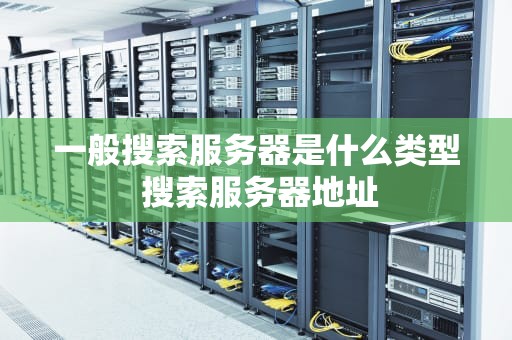 一般搜索服务器是什么类型 搜索服务器地址
