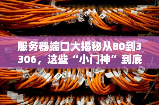 服务器端口大揭秘从80到3306，这些“小门神”到底在忙啥？