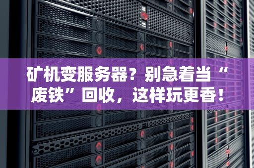 矿机变服务器？别急着当“废铁”回收，这样玩更香！