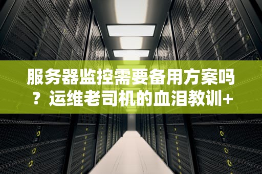 服务器监控需要备用方案吗？运维老司机的血泪教训+专业分析