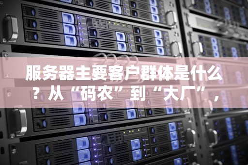 服务器主要客户群体是什么？从“码农”到“大厂”，谁在偷偷给服务器“打钱”？