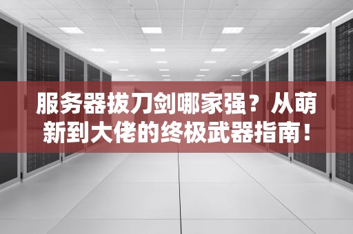 服务器拔刀剑哪家强？从萌新到大佬的终极武器指南！