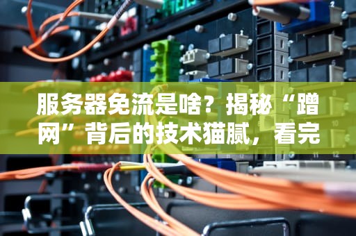 服务器免流是啥？揭秘“蹭网”背后的技术猫腻，看完秒懂！