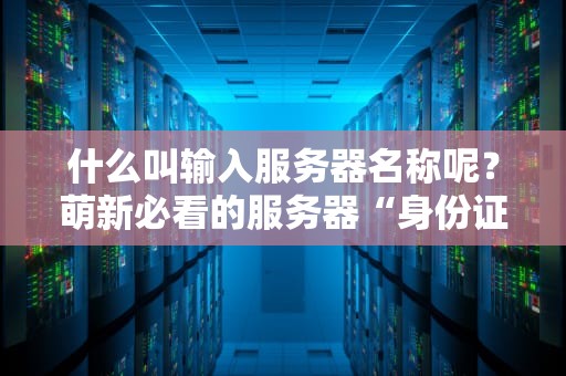 什么叫输入服务器名称呢？萌新必看的服务器“身份证”科普指南！