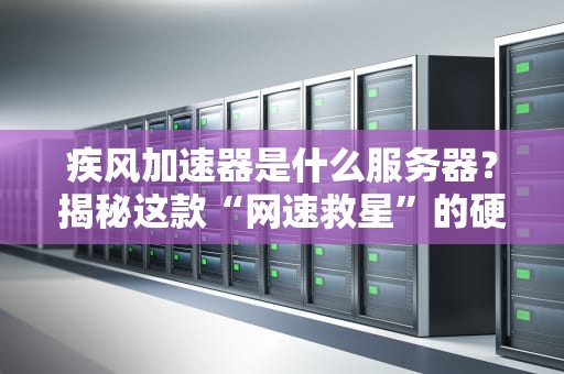 疾风加速器是什么服务器？揭秘这款“网速救星”的硬核实力！