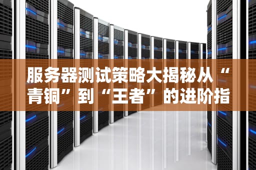 服务器测试策略大揭秘从“青铜”到“王者”的进阶指南