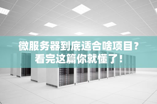微服务器到底适合啥项目？看完这篇你就懂了！