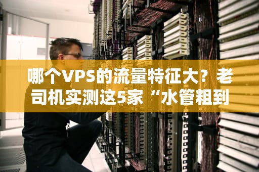 哪个VPS的流量特征大？老司机实测这5家“水管粗到能养鲸鱼”！