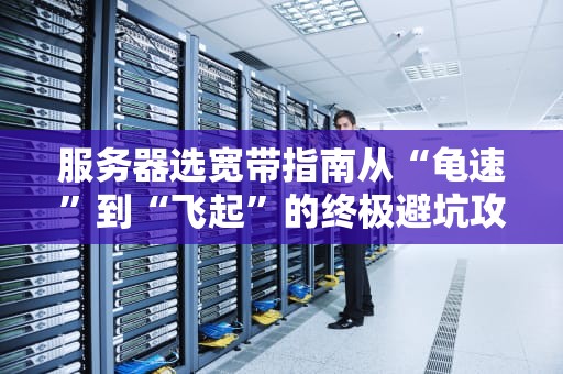 服务器选宽带指南从“龟速”到“飞起”的终极避坑攻略！