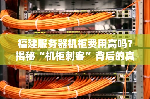 福建服务器机柜费用高吗？揭秘“机柜刺客”背后的真相！