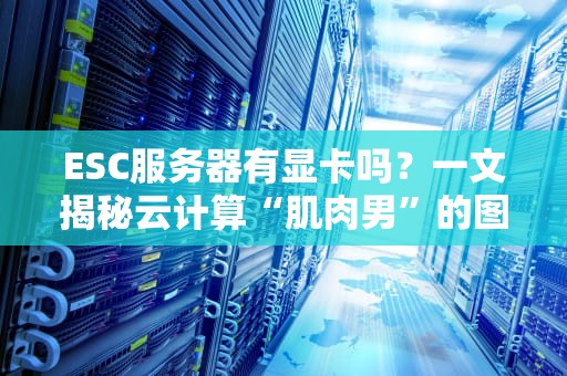 ESC服务器有显卡吗？一文揭秘云计算“肌肉男”的图形处理能力