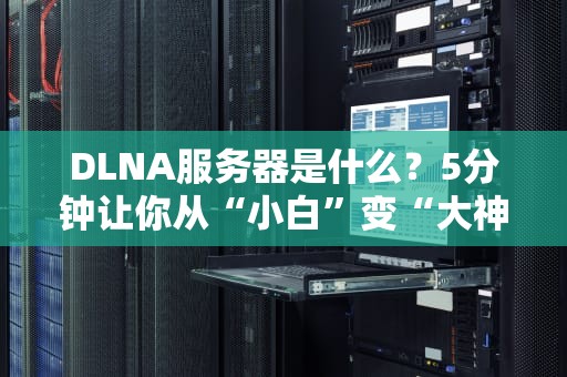 DLNA服务器是什么？5分钟让你从“小白”变“大神”！