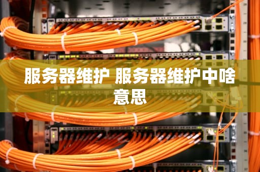 服务器维护 服务器维护中啥意思