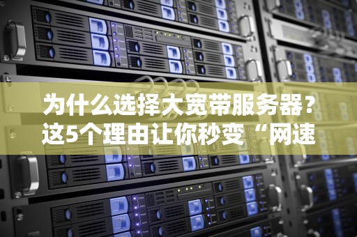 为什么选择大宽带服务器？这5个理由让你秒变“网速狂魔”！