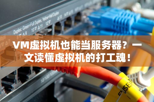 VM虚拟机也能当服务器？一文读懂虚拟机的打工魂！
