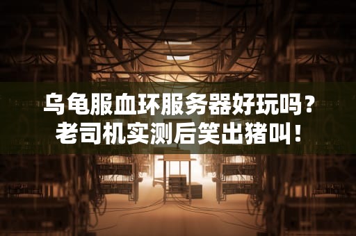 乌龟服血环服务器好玩吗？老司机实测后笑出猪叫！