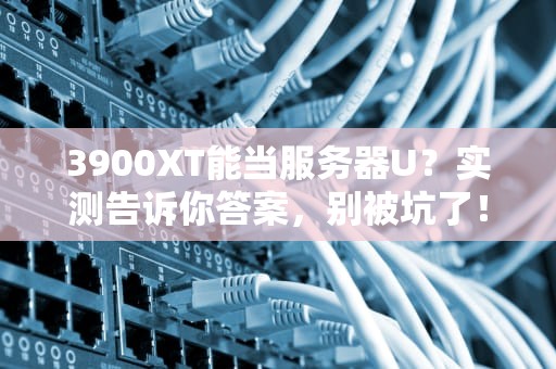 3900XT能当服务器U？实测告诉你答案，别被坑了！