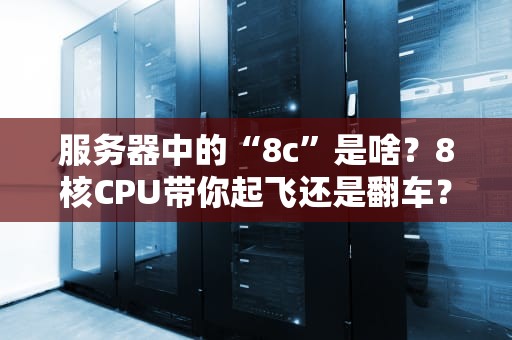 服务器中的“8c”是啥？8核CPU带你起飞还是翻车？一文读懂核心数的秘密！