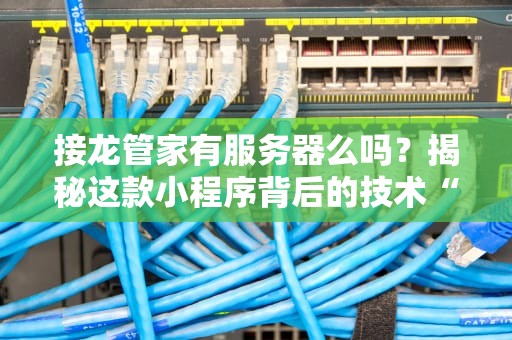 接龙管家有服务器么吗？揭秘这款小程序背后的技术“大本营”