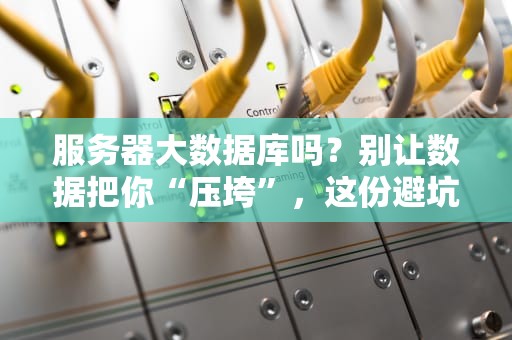 服务器大数据库吗？别让数据把你“压垮”，这份避坑指南请收好！