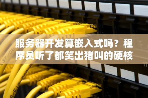 服务器开发算嵌入式吗？程序员听了都笑出猪叫的硬核科普！