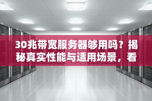 30兆带宽服务器够用吗？揭秘真实性能与适用场景，看完秒懂！