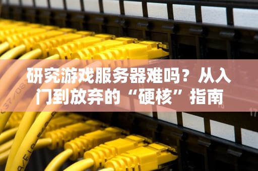 研究游戏服务器难吗？从入门到放弃的“硬核”指南