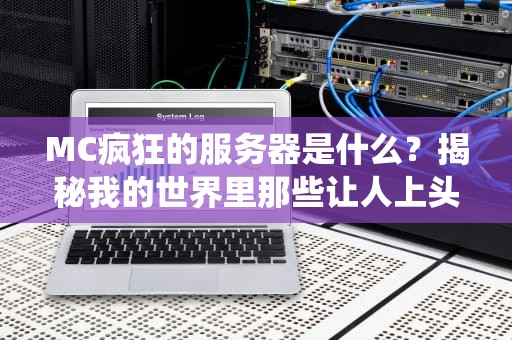 MC疯狂的服务器是什么？揭秘我的世界里那些让人上头的“神仙”玩法！