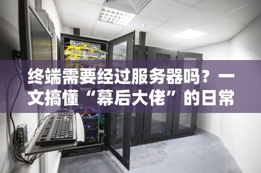 终端需要经过服务器吗？一文搞懂“幕后大佬”的日常操作！