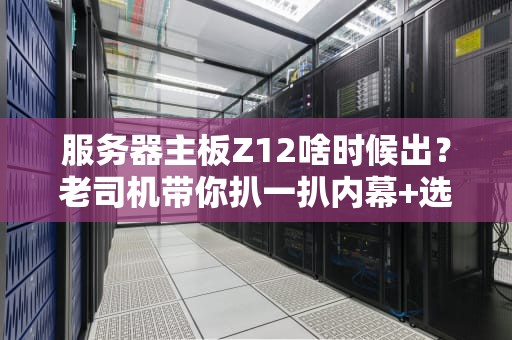 服务器主板Z12啥时候出？老司机带你扒一扒内幕+选购避坑指南！