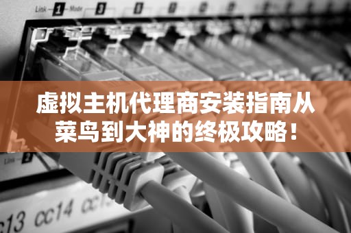 虚拟主机代理商安装指南从菜鸟到大神的终极攻略！