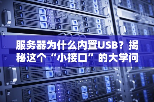 服务器为什么内置USB？揭秘这个“小接口”的大学问！