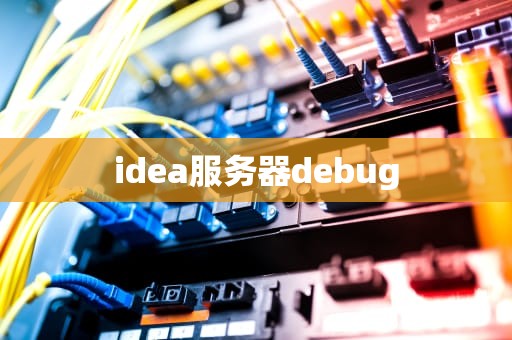 idea服务器debug