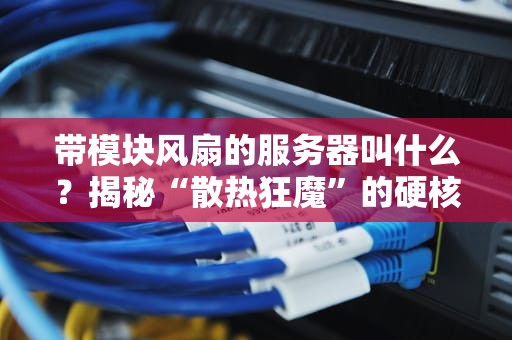 带模块风扇的服务器叫什么？揭秘“散热狂魔”的硬核真相！