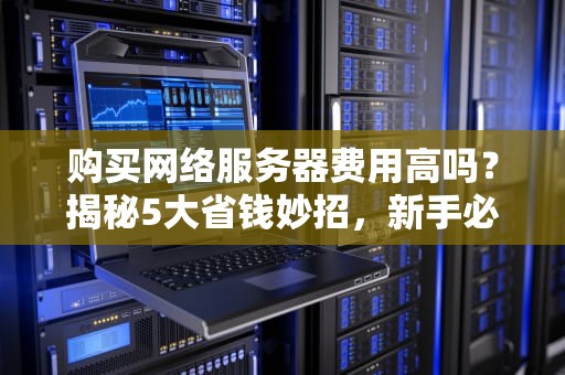 购买网络服务器费用高吗？揭秘5大省钱妙招，新手必看！