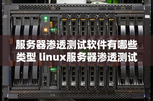 服务器渗透测试软件有哪些类型 linux服务器渗透测试