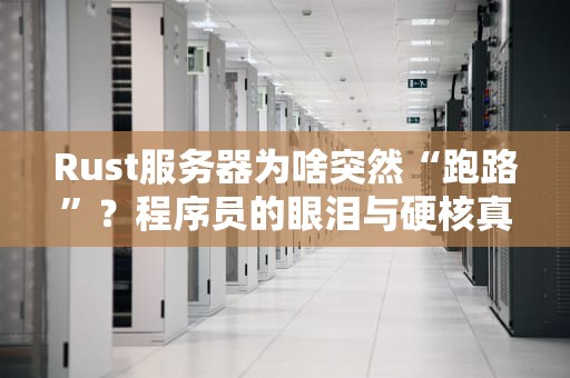 Rust服务器为啥突然“跑路”？程序员的眼泪与硬核真相！