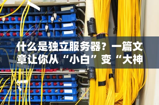什么是独立服务器？一篇文章让你从“小白”变“大神”！