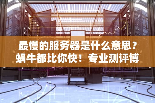 最慢的服务器是什么意思？蜗牛都比你快！专业测评博主带你避坑