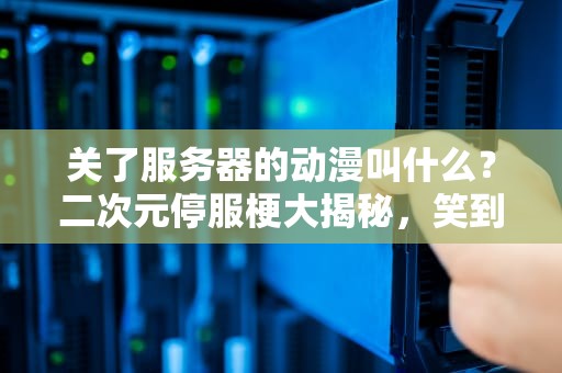 关了服务器的动漫叫什么？二次元停服梗大揭秘，笑到掉线！