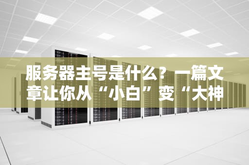 服务器主号是什么？一篇文章让你从“小白”变“大神”（附实战避坑指南）