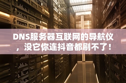 DNS服务器互联网的导航仪，没它你连抖音都刷不了！